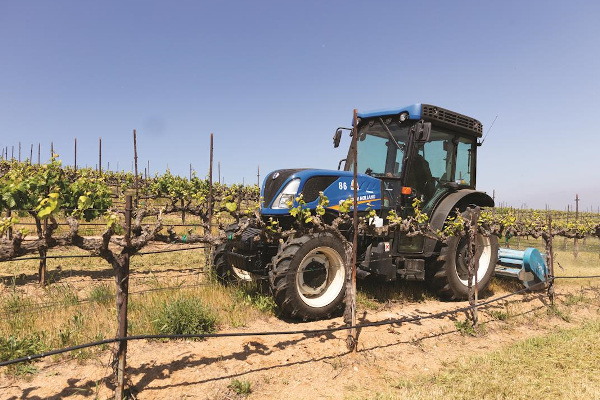 New Holland T4.110F for sale at Waukon, Iowa